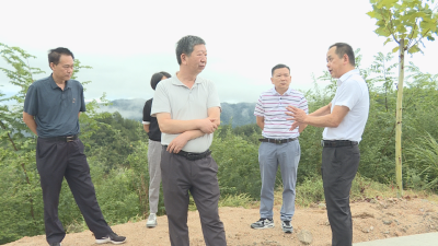 【视频】县人大常委会视察交通项目建设