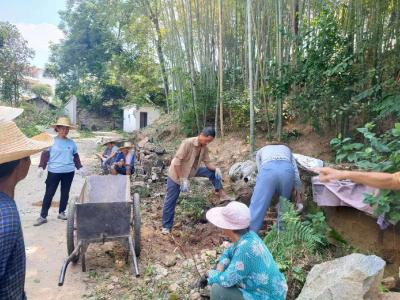 孔家坊乡王家畈村：干群同参与 共修幸福路