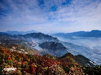旅游景点
