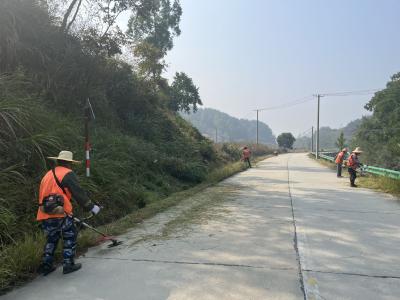 县农村公路管理局：公路养护除草忙  保障道路畅洁美 