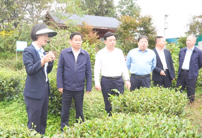 【视频】郑光文带队赴宣恩县、利川市、赤壁市考察学习茶产业发展和文旅融合工作