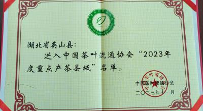 英山县进入“中国茶叶流通协会2023年度重点产茶县域”名单