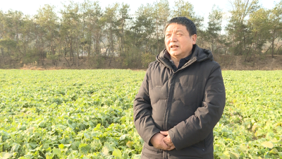 县农业农村局科技指导到田间