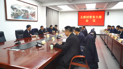 【视频】县第十九届人民代表大会第三次会议召开主席团常务主席会议