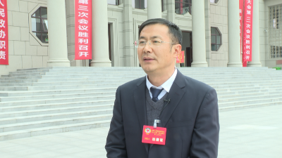 【视频】县政协委员热议大会讲话和报告