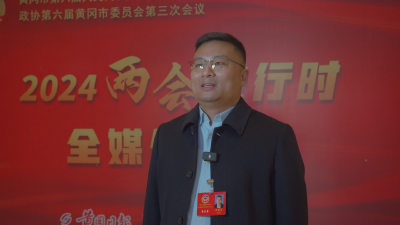 【黄冈两会传真】参加市政协六届三次会议委员议报告 话民生 谋发展