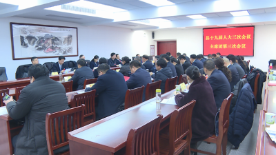 【视频】县第十九届人民代表大会第三次会议召开主席团第三次会议