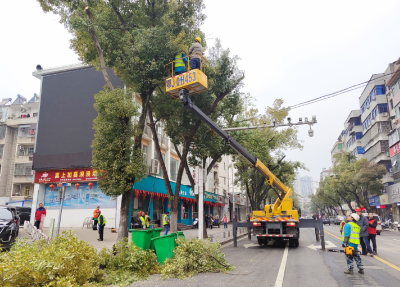 县园林绿化服务中心：修剪树木  消除安全隐患