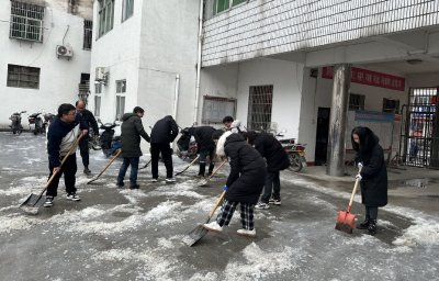 【迎战低温雨雪冰冻天气】雷家店镇组织开展除雪破冰行动 