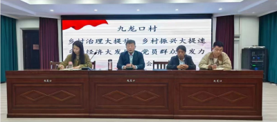 九龙口村召开居民大会 谋划乡村产业发展