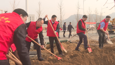 【快讯】县“四大家”领导开展2024年义务植树活动