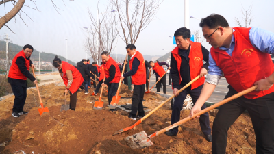 【视频】县“四大家”领导开展2024年义务植树活动