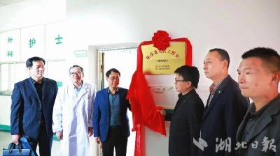 县医共体总医院石头咀镇分院“名医工作室”揭牌成立