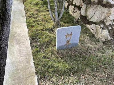 英山县民政局公墓管理所举行骨灰免费树葬仪式