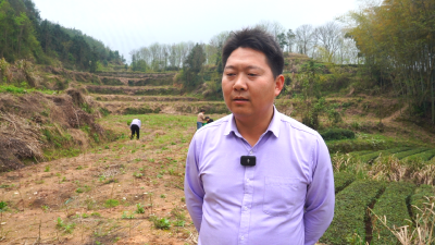 【视频】陶家坊村：小香椿种出强村富民大产业