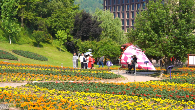 四季花海花满园 赏花踏青正当时