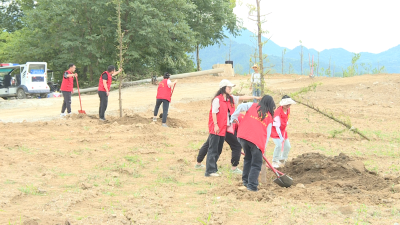 南河镇：“植”此青绿 绘制最美生态颜色