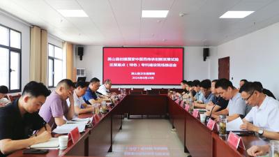 【健康英山】英山县创建国家中医药传承创新发展试验区暨重点（特色）专科建设现场推进会召开