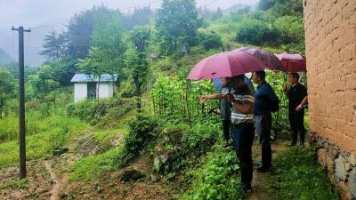 【积极应对强降雨】吴家山林场：风雨同心 守护家园