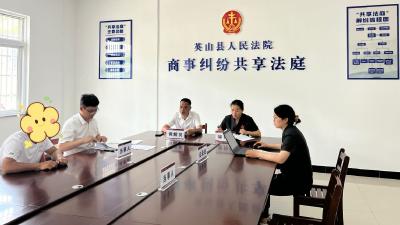 【优化营商环境】县人民法院：“共享法庭”调解先行 两起涉企纠纷一日解