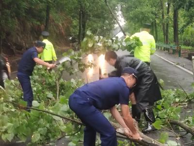 孔家坊乡：风雨之中显担当 干群齐心保通畅