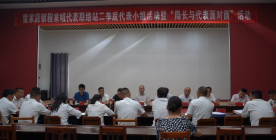 【视频】卢峰参加雷家店镇程家咀代表联络站二季度代表小组活动暨“局长与代表面对面”活动