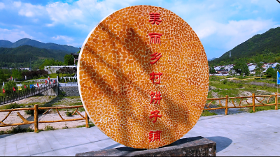 石头咀镇：美丽乡村演绎“美丽经济”