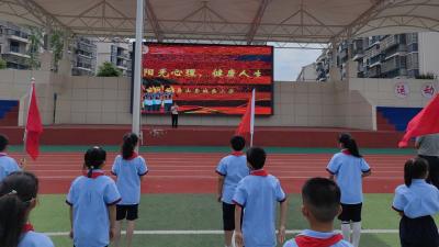【教育之窗】城西小学：阳光照心田 健康伴人生