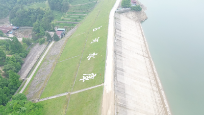 【视频】S219红花至陶河段改建工程建设进入“冲刺”阶段