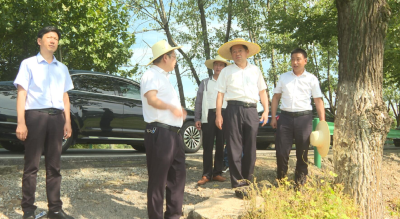 【视频】郑光文强调：科学应对高温天气 做好农业生产恢复 稳步推进重点项目建设