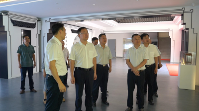 【视频】省知识产权局来我县调研茶产业发展建设情况