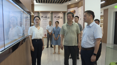 天津红日药业股份有限公司董事长吴文元来我县调研