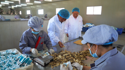 【视频】英才汇——彭鹏：用小颗粒撬动大产业