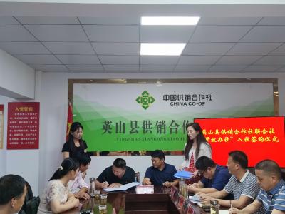 坚持开放办社 英山供销系统再添“新成员”