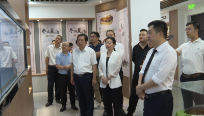 【视频】湖北蕲艾集团来我县考察交流中医药大健康产业