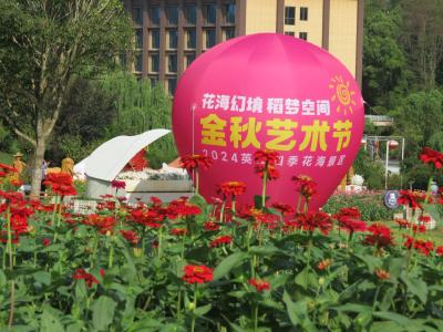 四季花海“花海幻境 稻梦空间”唱响金秋田园牧歌