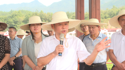 【视频】郑光文在调研茶产业链建设中强调：坚持以问题为导向 积极探索英山茶产业高质量发展新模式