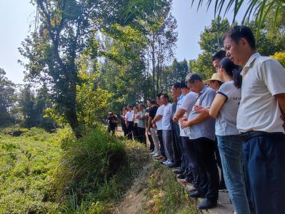 金家铺镇组织开展撂荒地整治及耕地保护现场拉练活动