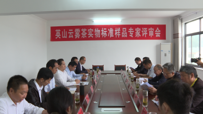 英山云雾茶实物标准样品通过省级专家审评