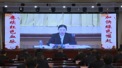 【视频】我县组织收听收看全市加强国债和地方政府专项债券资金使用管理暨重点项目调度视频会