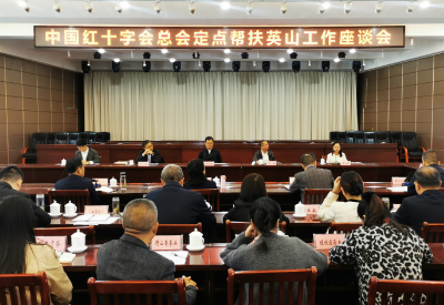 【快讯】中国红十字会党组成员、副会长孙硕鹏一行来我县调研座谈