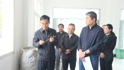 张社教来我县调研中医药大健康产业发展