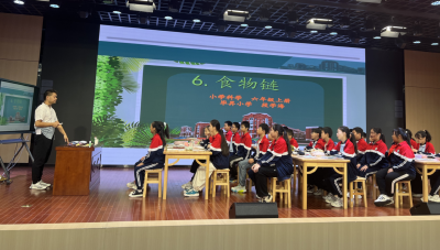 【教育之窗】毕昇小学开展示范课展示活动
