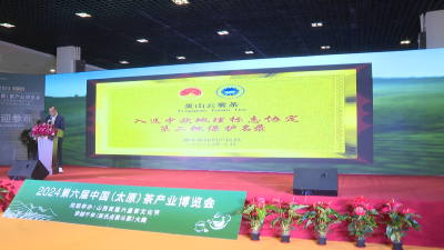 【视频】英山云雾茶亮相2024年第六届中国（太原）茶产业博览会