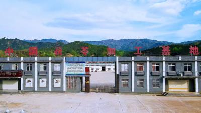 搭乘上旅游快车 攀挤上销售便车 英山县农旅融合助力农产品开拓市场