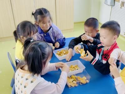 【教育之窗】县直机关幼儿园金铺园区：萌娃乐翻天 “橘”意正浓时