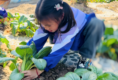 【教育之窗】县直机关幼儿园金铺园区：引导幼儿探索奇妙大自然
