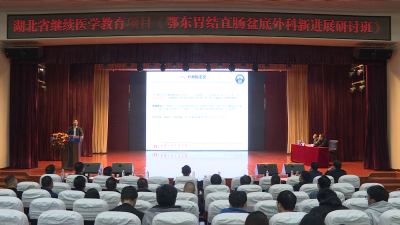 【视频】鄂东胃结直肠盆底外科新进展研讨班活动在我县举行