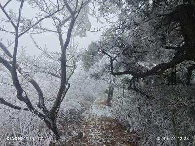 【圖集】牛背脊骨今冬第一場雪