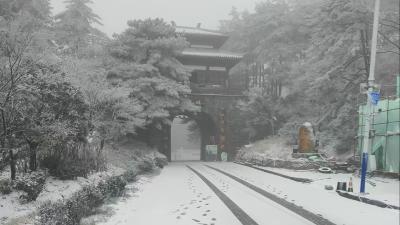 【视频】我县部分地区迎来初雪 低温天气仍将持续